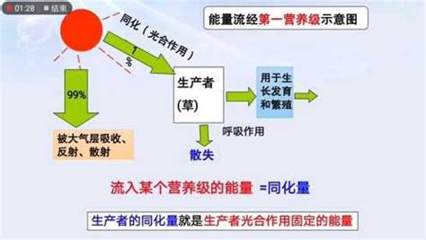 能量流失|揭秘能量流失：原理图背后的秘密 (能量是如何流失的原理图)